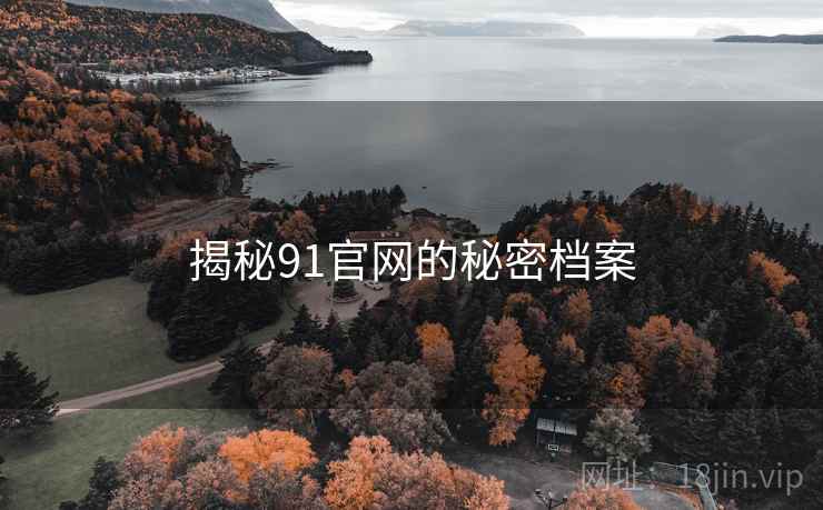 揭秘91官网的秘密档案