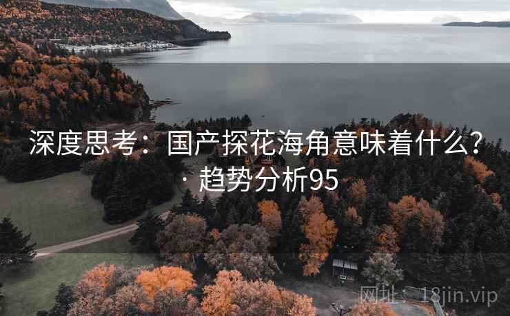 深度思考:国产探花海角意味着什么? · 趋势分析95