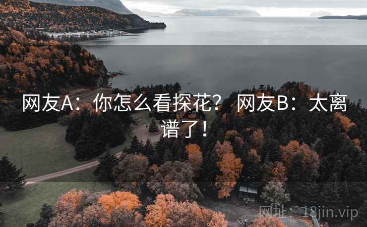 网友A：你怎么看探花？ 网友B：太离谱了！