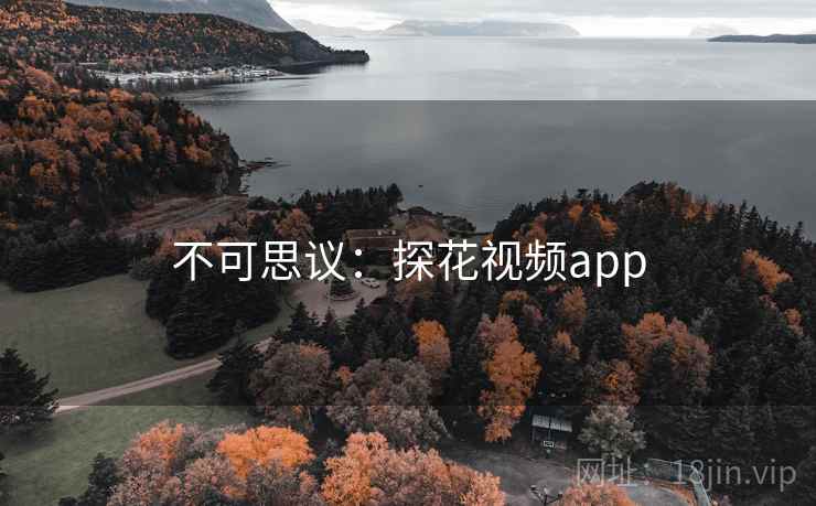 不可思议:探花视频app